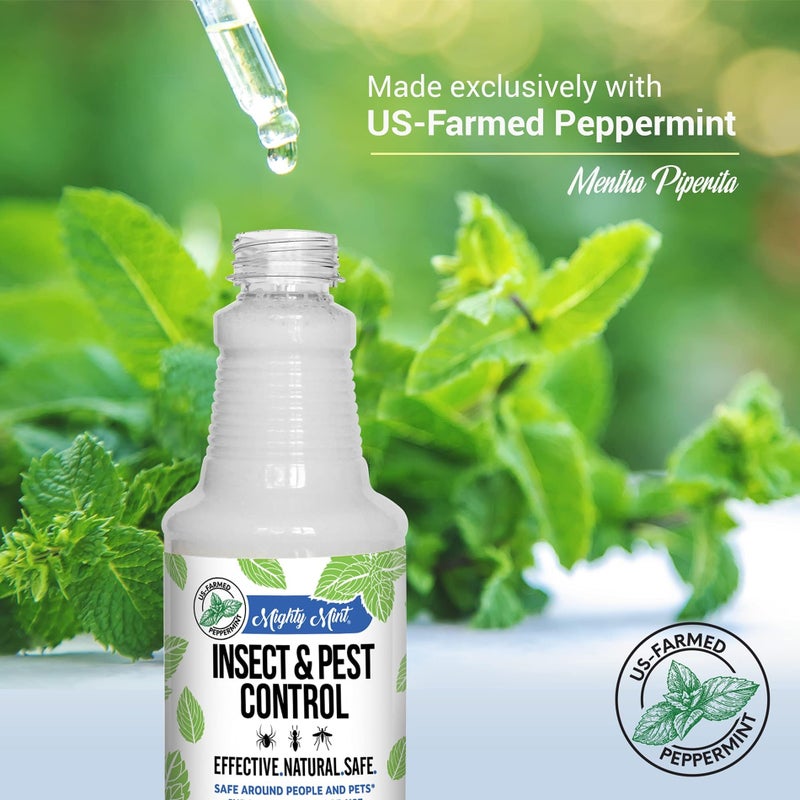 Mighty Mint Peppermint Oil Insect Repellent Spray â€“ Natural Indoor & Outdoor Bug Control for Spiders, Ants, Roaches, and More â€“ Plant-Based, Extra-Strong Formula - 16 oz (Pack of 2) - Image 4