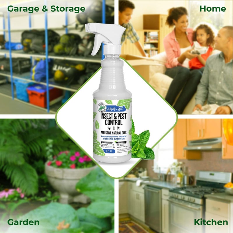 Mighty Mint Peppermint Oil Insect Repellent Spray â€“ Natural Indoor & Outdoor Bug Control for Spiders, Ants, Roaches, and More â€“ Plant-Based, Extra-Strong Formula - 16 oz (Pack of 2) - Image 3