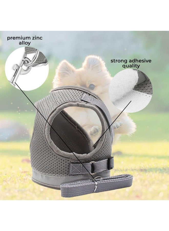هارتس حزام عاكس للكلاب مع مقود قابل للتعديل | نسيج شبكي من البوليستر قابل للتنفس | مقاس XS | Ht-844 | قبضة مريحة لا تسحب | أبازيم سريعة الفك | حزام سهل الارتداء والخلع | رمادي - Image 5