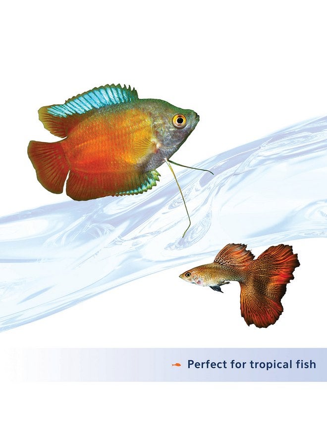 Aqueon Nutrinsect Fish-Free Fish Food, Tropical Flakes, 1.59 oz - Image 2