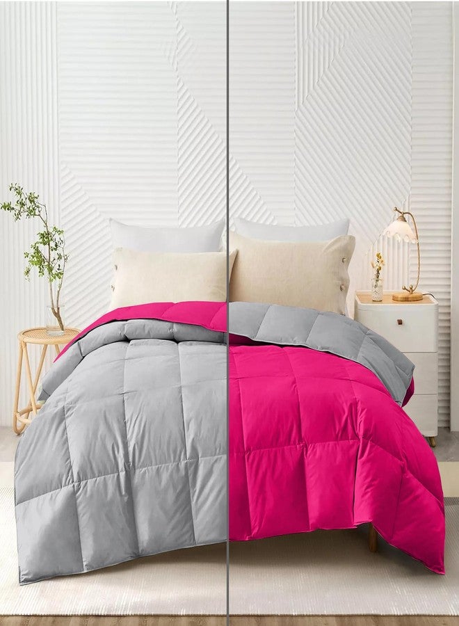 AYANSHI BEDDING مجموعة مفروشات أيانشي الفندقية، مناسبة لجميع الفصول، لحاف/بطانية/غطاء سرير مزدوج 120 جرام/متر مربع (90 × 100 بوصة) - لون وردي فاقع/رمادي فضي - Image 1