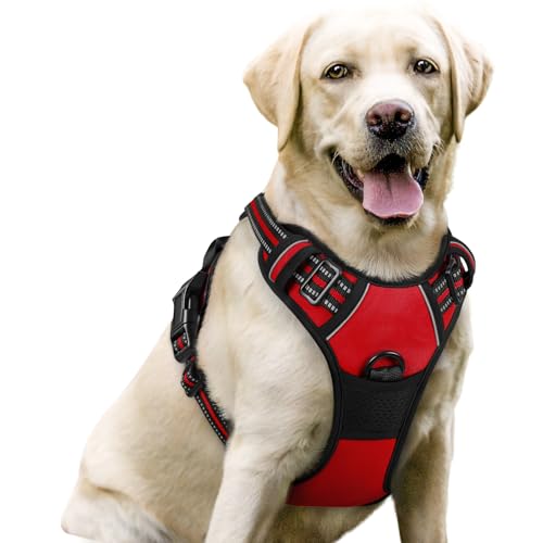 rabbitgoo Dog Harness NoPull Pet Harness with 2 Leash Clips Adjustable Soft Padded Dog Vest Reflective NoChoke Pet Oxford Vest with Easy Control Handle for Large Dogs Red L