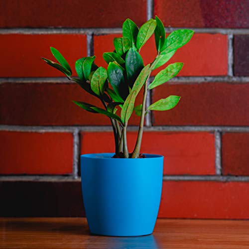 garbnoire Gardening Flower Pots - 5 Inch Plastic Flower Pots | Modern Decorative Indoor Outdoor Planters/Pots - Pack of (3, Turquiose) - Image 1