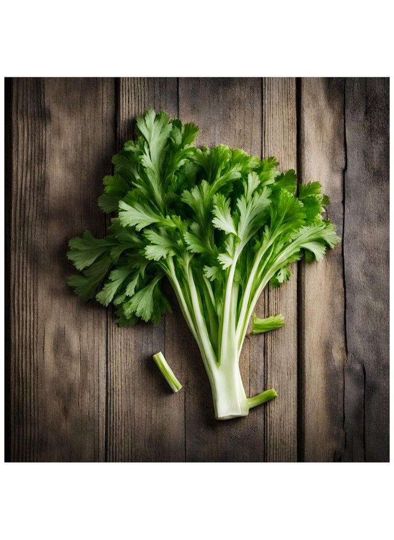 GROW Celery seeds al-fajr 