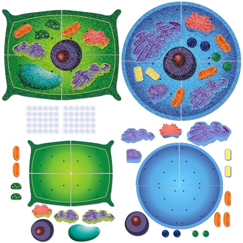 VercanMonth 2 Set Giant Felt Animal and Plant Cell Anatomy Model Kits Early Biology Cell Model Life Science Toys Animal Plant Bacteria Science Kit for Boys Girls Classroom Educational Learning - Image 1