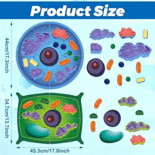 VercanMonth 2 Set Giant Felt Animal and Plant Cell Anatomy Model Kits Early Biology Cell Model Life Science Toys Animal Plant Bacteria Science Kit for Boys Girls Classroom Educational Learning - Image 5