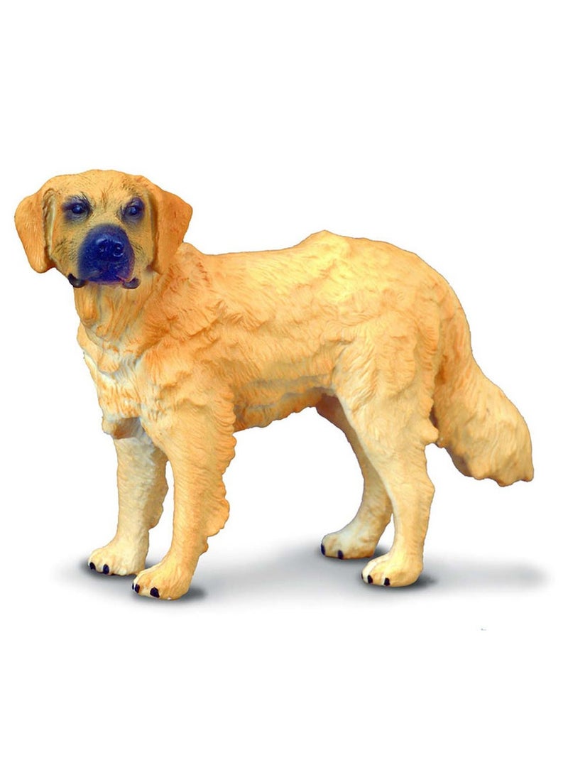 Collecta - Golden Retriever Dog - 88116