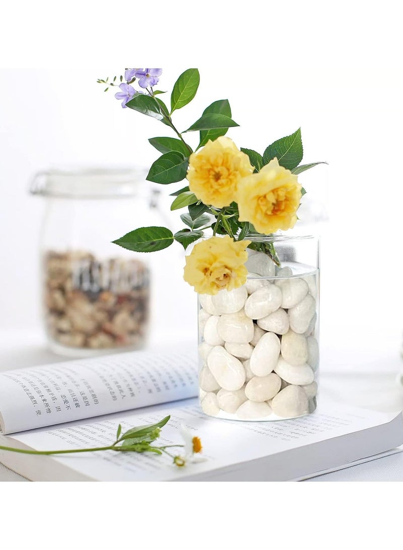HOME ZONE River Rock Stones Pebbles 2-3cm Natural Decorative Polished Mixed White Pebbles Gravel for Garden Plant Pots Landscaping Terrariums Vase Fillers 10lb (4.5 KG) - Image 4