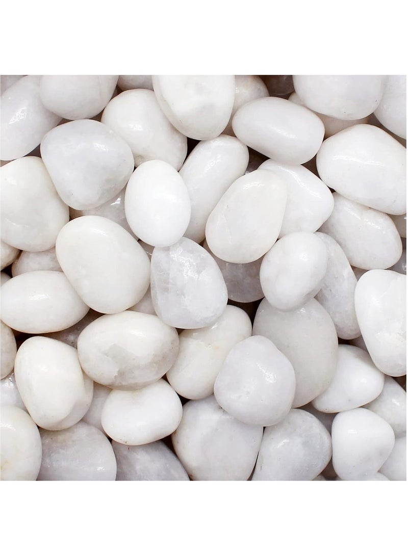 HOME ZONE River Rock Stones Pebbles 2-3cm Natural Decorative Polished Mixed White Pebbles Gravel for Garden Plant Pots Landscaping Terrariums Vase Fillers 10lb (4.5 KG) - Image 1