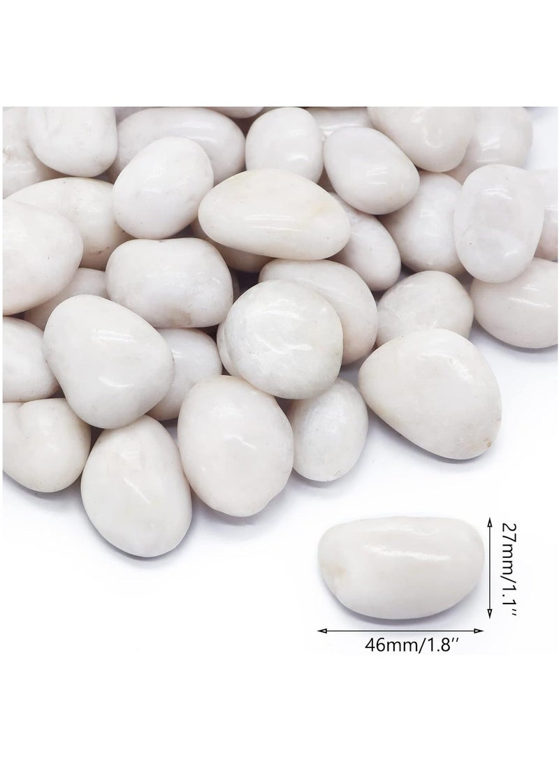 HOME ZONE River Rock Stones Pebbles 2-3cm Natural Decorative Polished Mixed White Pebbles Gravel for Garden Plant Pots Landscaping Terrariums Vase Fillers 10lb (4.5 KG) - Image 2