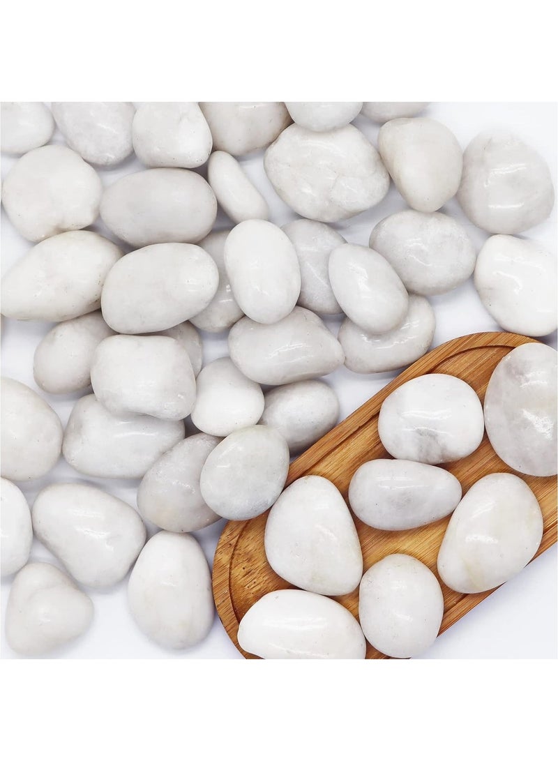 HOME ZONE River Rock Stones Pebbles 2-3cm Natural Decorative Polished Mixed White Pebbles Gravel for Garden Plant Pots Landscaping Terrariums Vase Fillers 10lb (4.5 KG) - Image 3