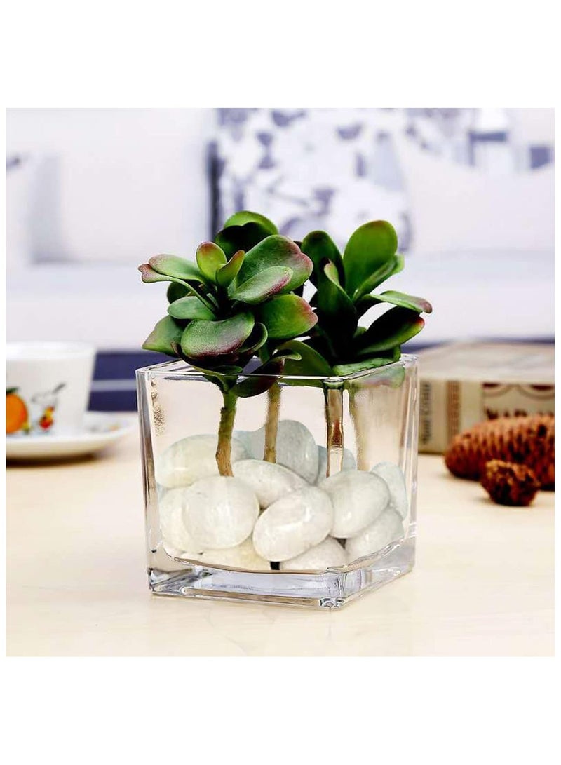 HOME ZONE River Rock Stones Pebbles 2-3cm Natural Decorative Polished Mixed White Pebbles Gravel for Garden Plant Pots Landscaping Terrariums Vase Fillers 10lb (4.5 KG) - Image 5