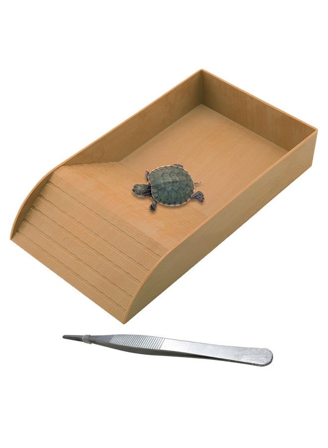 kathson Reptile Tortoise Turtle Feeding Dish with Ramp and Basking Platform Plastic Turtle Food and Water Bowl Also Fit for Bath Horned Frogs Lizards Amphibians (Brown, Emulational Wood) - Image 1