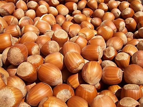 EFO Wooden Nutcracker Mushroom - Nut Cracker Tool Crack Nuts Easy Screw Mechanism - Great Gift for Christmas and Kitchen Home Display Decoration. - Image 3