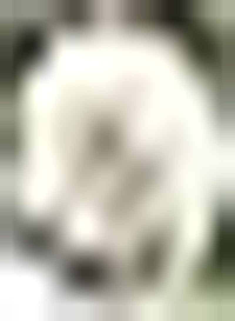 GGOOT 2pcs Witte Dahlia Bollen Huis Tuin Planten Bloemen Verspreiden Unieke Geur Trekt Vlinders Bijen Mooie Tuinieren Decoratie - Image 2