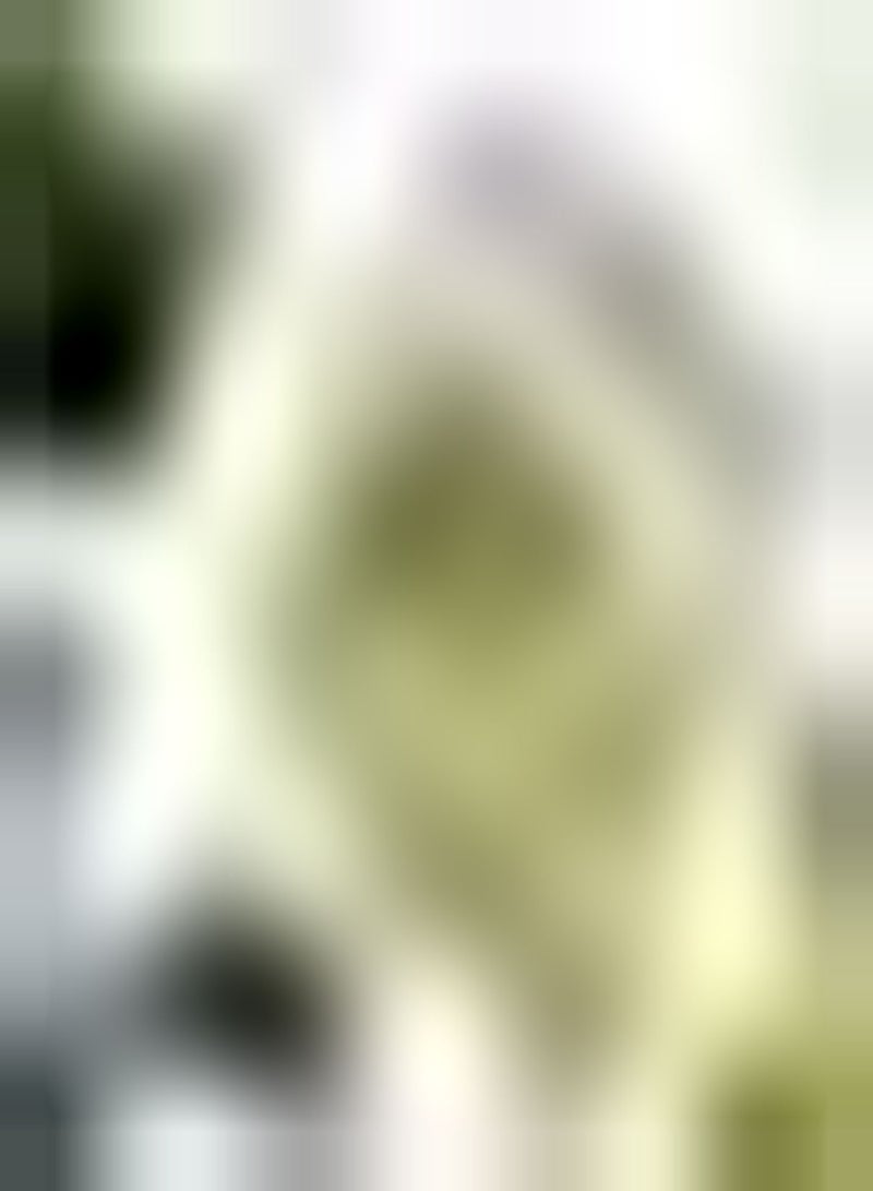 GGOOT 2pcs Witte Dahlia Bollen Huis Tuin Planten Bloemen Verspreiden Unieke Geur Trekt Vlinders Bijen Mooie Tuinieren Decoratie - Image 1