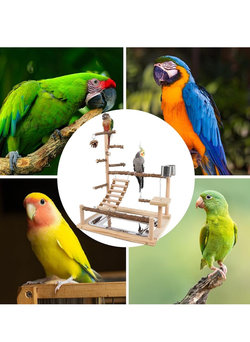 عام حامل لعب الببغاء، ساحة لعب الطيور، حامل ببغاء من الخشب الطبيعي مع كأس تغذية، حامل مجثم الطيور، صالة الألعاب الرياضية، ألعاب البادجي، مجثم الببغاء للكوكاتيل، طيور الحب، البادجي - Image 3