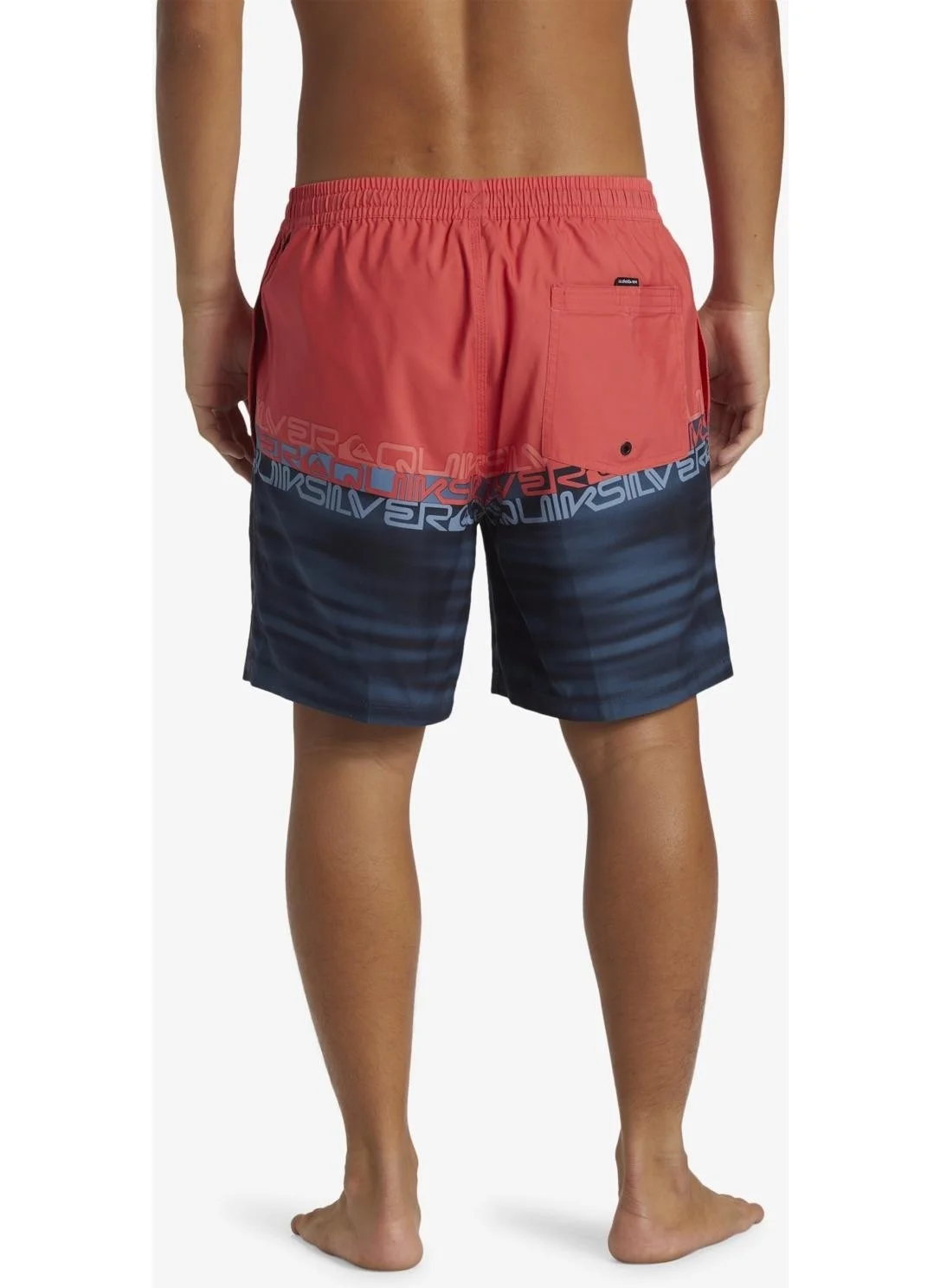 QUIKSILVER Everyday Wordblock Volley 17 Men's Multicolored Volley Short