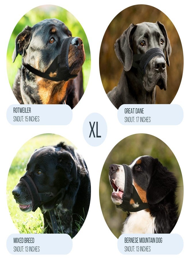 GoodBoy Gentle Muzzle Guard for Dogs - Prevents Biting and Unwanted Chewing Safely Secure Comfort Fit - Soft Neoprene Padding – No More Chafing – Training Guide Helps Build Bonds with Pet (XL, Grey) - Image 3