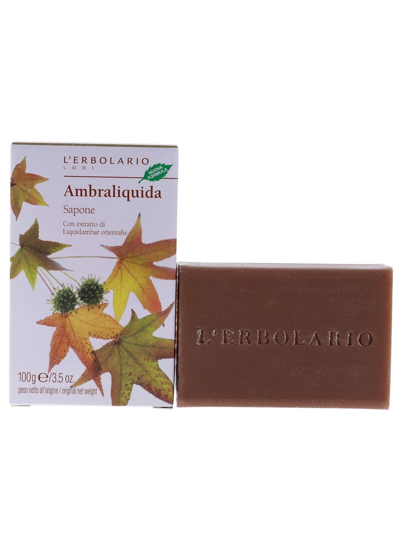 L'Erbolario LErbolario Ambraliquida Bar Soap  Enriched With All Natural Ingredients And Aromatic Fragrances  Cleanses And Moisturizes Skin  Long Lasting And Creates A Rich Creamy Lather  35 Oz 