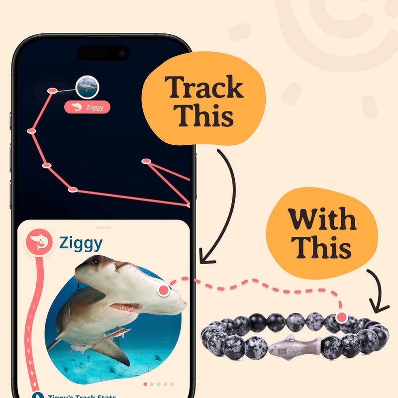 Fahlo Shark Tracking Bracelet â€“ Track a Real Sharkâ€™s Journey â€“ Supports Wildlife Conservation â€“ Elastic, One Size Fits Most â€“ on Interactive Mobile App Map â€“ Unisex Ocean Conservation Gift (Lava Stone) - Image 4