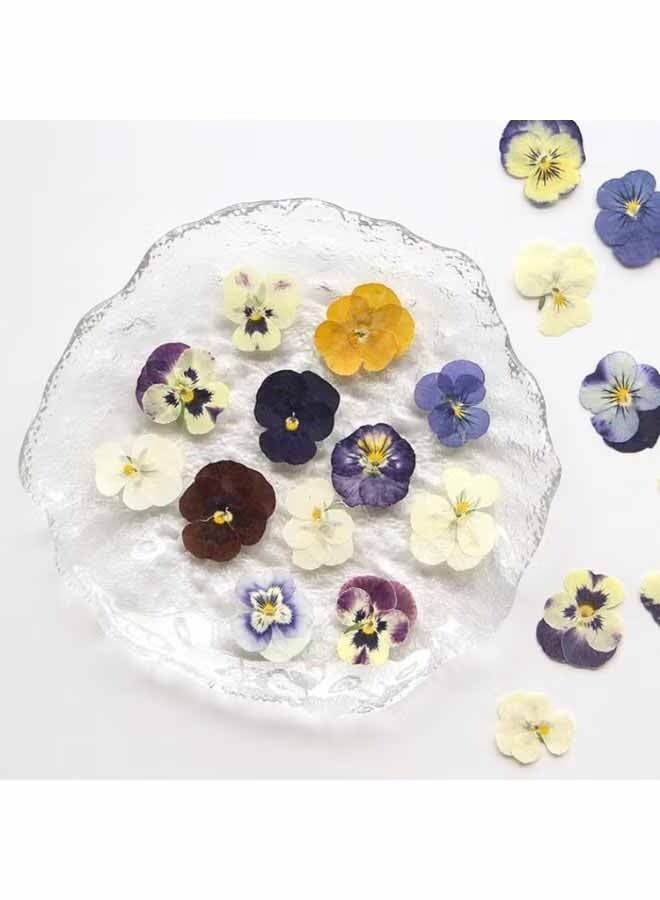 YJ 54 Pcs Dried Pressed Flowers for Resin DIY Art Crafts Natural Dry Floral Epoxy Jewelry Real Flower Decor Cakes Phone Cases Candles Handmade Soap Purple Pansy - Image 2