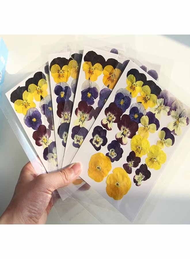 YJ 54 Pcs Dried Pressed Flowers for Resin DIY Art Crafts Natural Dry Floral Epoxy Jewelry Real Flower Decor Cakes Phone Cases Candles Handmade Soap Purple Pansy - Image 5
