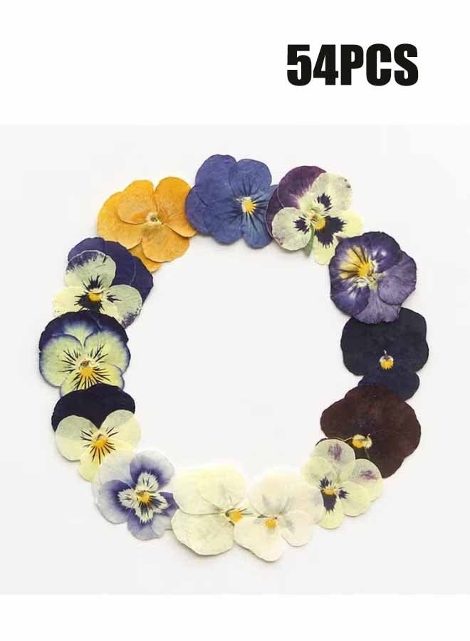 YJ 54 Pcs Dried Pressed Flowers for Resin DIY Art Crafts Natural Dry Floral Epoxy Jewelry Real Flower Decor Cakes Phone Cases Candles Handmade Soap Purple Pansy - Image 1