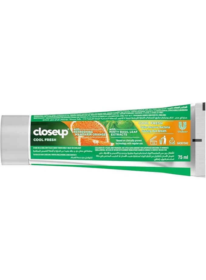 كلوز أب معجون أسنان  كلين فريش بنكهة الحمضيات والنعناع 75 مل - Image 3