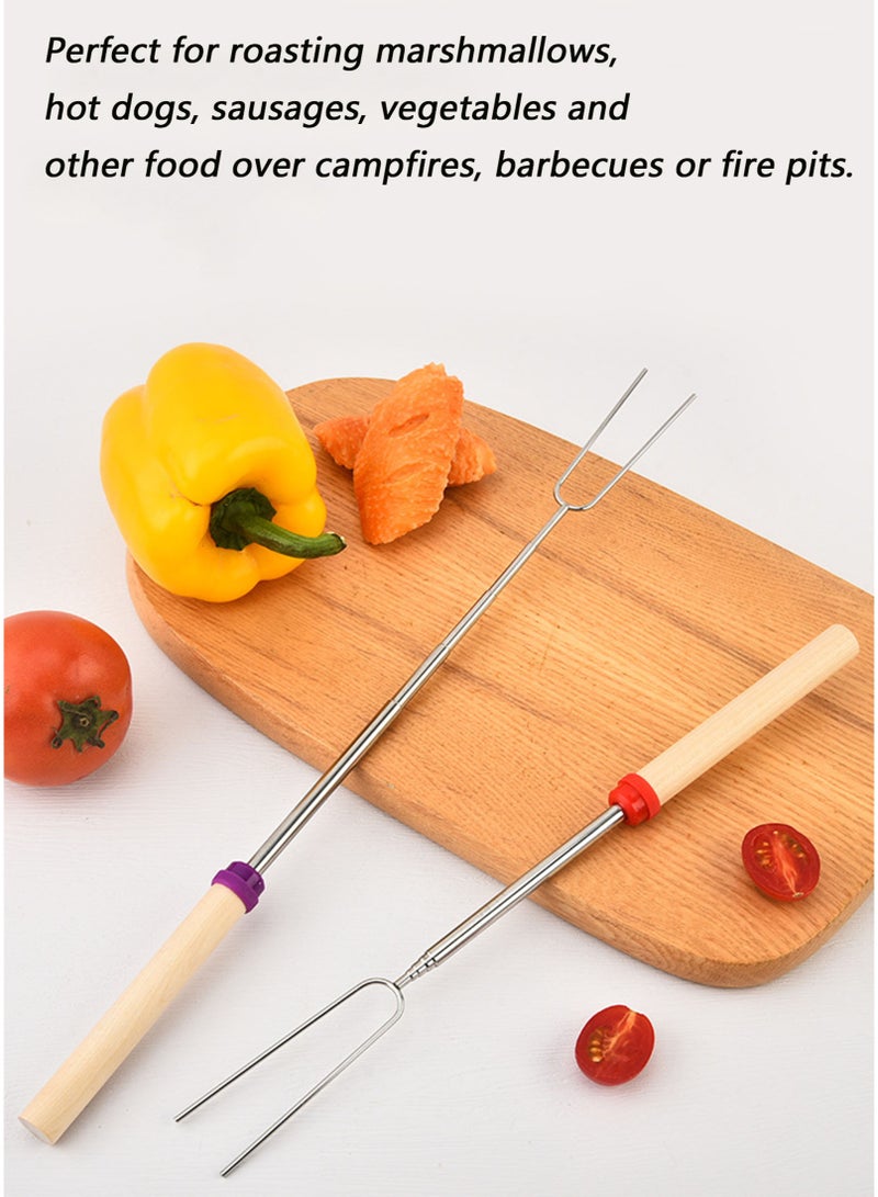 10 Pcs Retractable BBQ Forks, Telescopic Stainless Steel BBQ Skewers with Wooden Heatproof Handle, Camping Grill Sticks with Carry Bag for Outdoor Campfire & Barbecue - Image 5