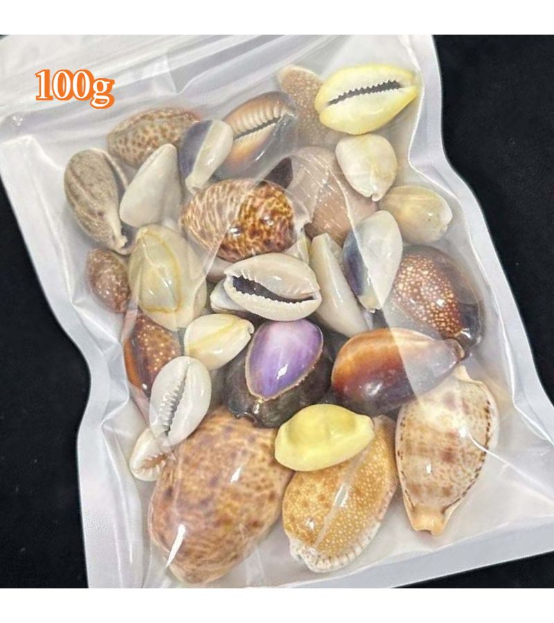 50G Colorful Seashells Decorative Fish Tank Landscapes Home Decor Treasure Snails - Image 5