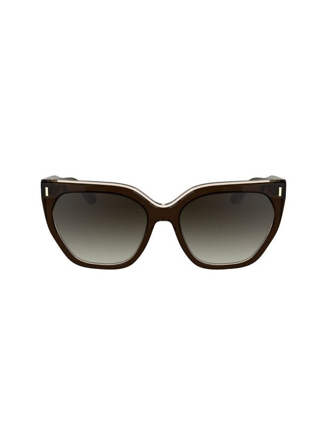 Calvin Klein Butterfly Style Sunglasses - Image 2