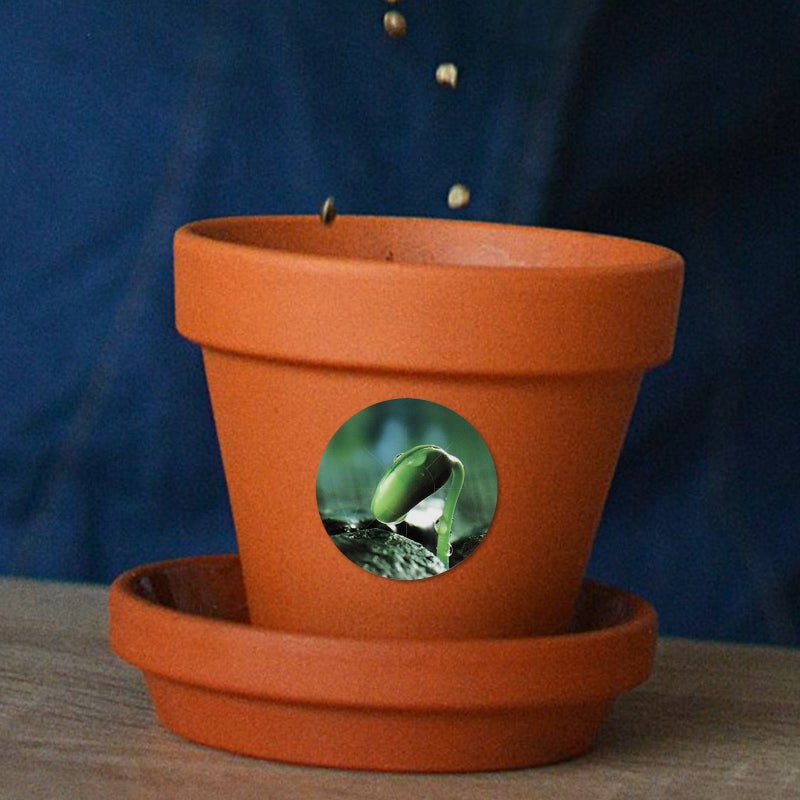 5 Sheets PVC Seed Pot Label Plants Growth Label Sticker Hydroponic Seed Pot Stickers for Mark - Image 4