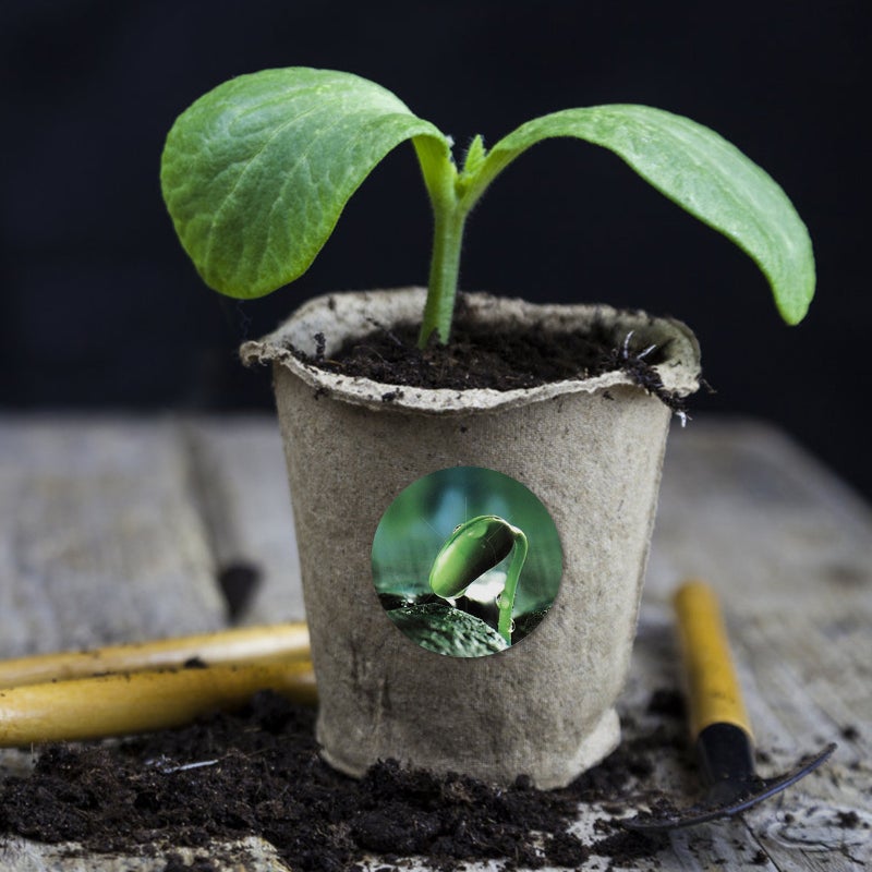 5 Sheets PVC Seed Pot Label Plants Growth Label Sticker Hydroponic Seed Pot Stickers for Mark - Image 3
