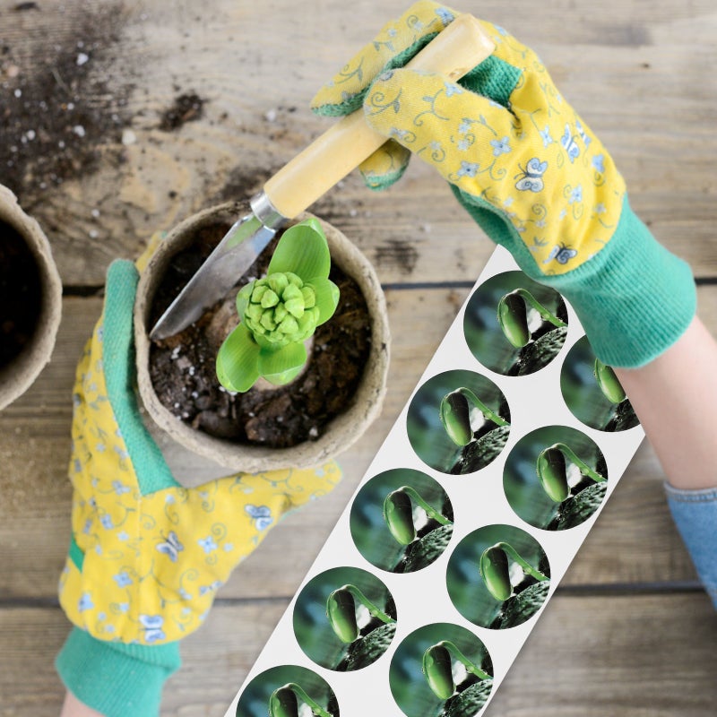 5 Sheets PVC Seed Pot Label Plants Growth Label Sticker Hydroponic Seed Pot Stickers for Mark - Image 5