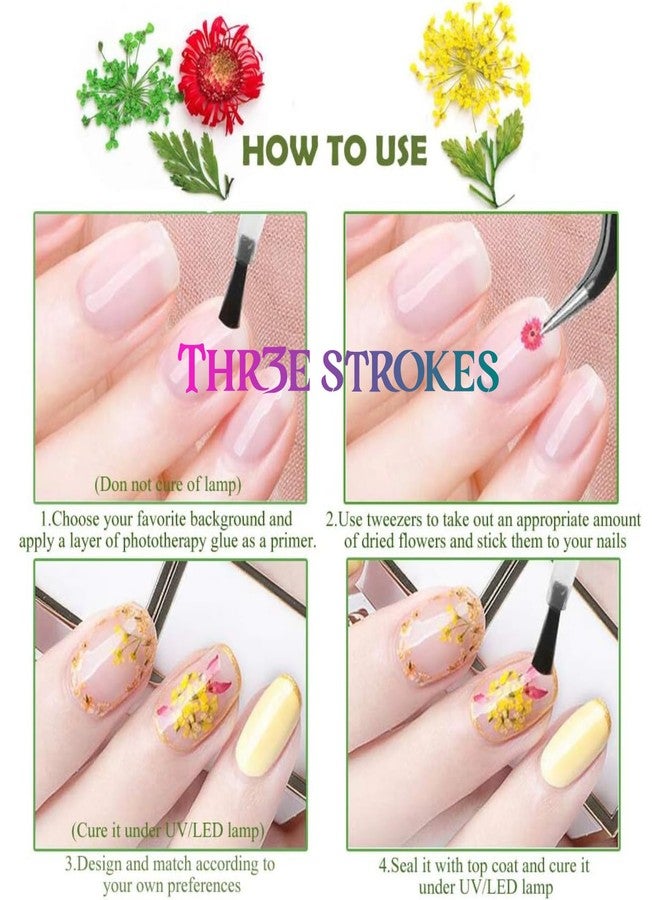 THR3E STROKES 12 Colors Dried Flowers for Nail Art, 1 Box Dry Flowers Mini Real Natural Flowers Nail Art Supplies 3D Applique Nail Decoration Sticker Decor (A) - Image 3