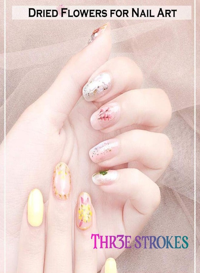 THR3E STROKES 12 Colors Dried Flowers for Nail Art, 1 Box Dry Flowers Mini Real Natural Flowers Nail Art Supplies 3D Applique Nail Decoration Sticker Decor (A) - Image 5