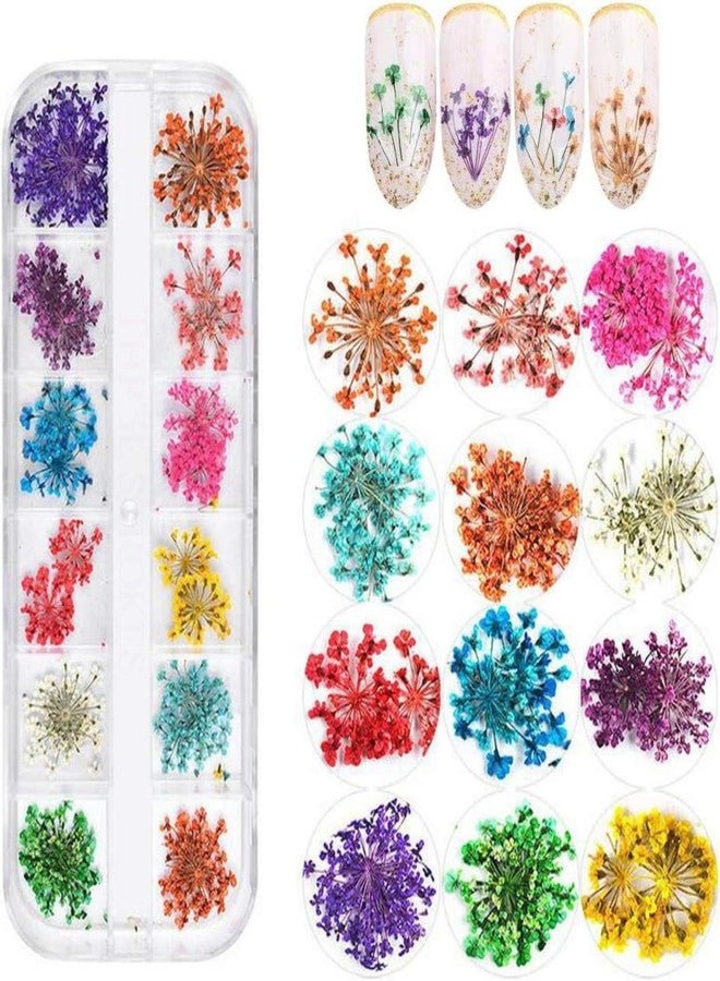 THR3E STROKES 12 Colors Dried Flowers for Nail Art, 1 Box Dry Flowers Mini Real Natural Flowers Nail Art Supplies 3D Applique Nail Decoration Sticker Decor (A) - Image 1