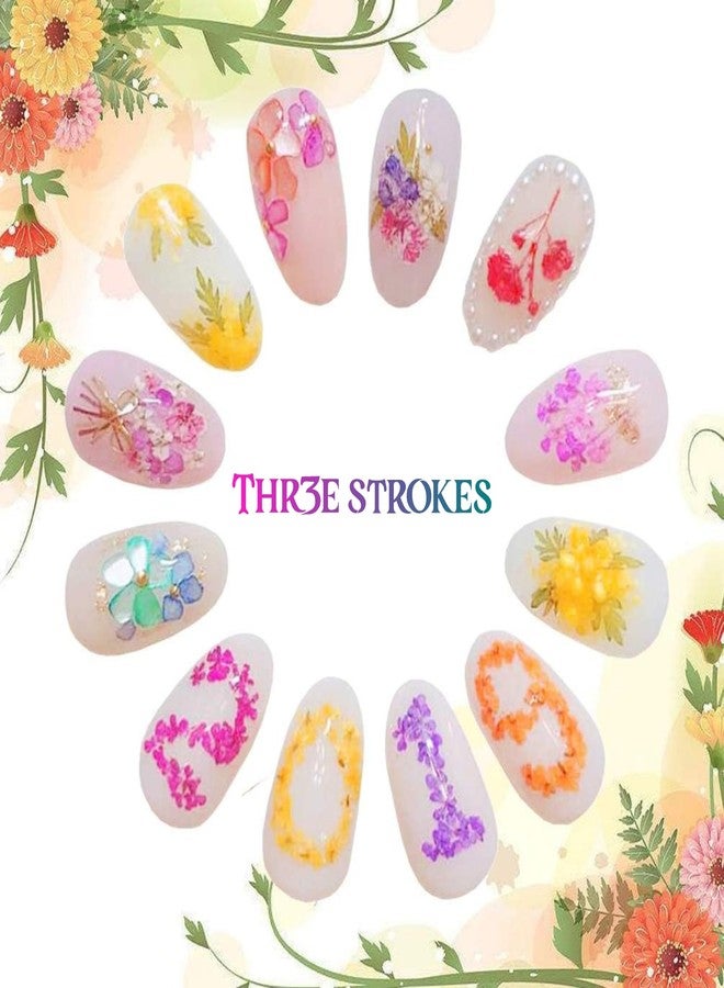THR3E STROKES 12 Colors Dried Flowers for Nail Art, 1 Box Dry Flowers Mini Real Natural Flowers Nail Art Supplies 3D Applique Nail Decoration Sticker Decor (A) - Image 4