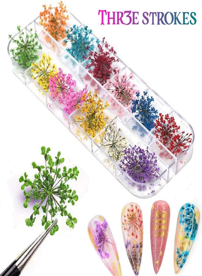 THR3E STROKES 12 Colors Dried Flowers for Nail Art, 1 Box Dry Flowers Mini Real Natural Flowers Nail Art Supplies 3D Applique Nail Decoration Sticker Decor (A) - Image 2