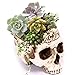 Simcat Resin Skull Planter Flower Succulents Pot Carved Skeleton Flowerpot Sugar Cactus Planter Pots Holder Candy Bowl - Image 2