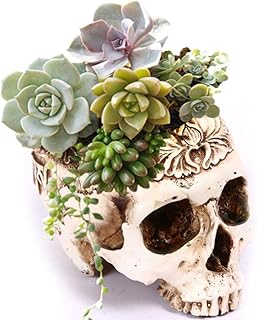 Simcat Resin Skull Planter Flower Succulents Pot Carved Skeleton Flowerpot Sugar Cactus Planter Pots Holder Candy Bowl - Image 1