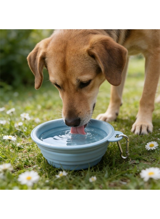 EPET Portable Collapsible Pet Travel Bowl for Dogs & Cats (Blue) - Image 4