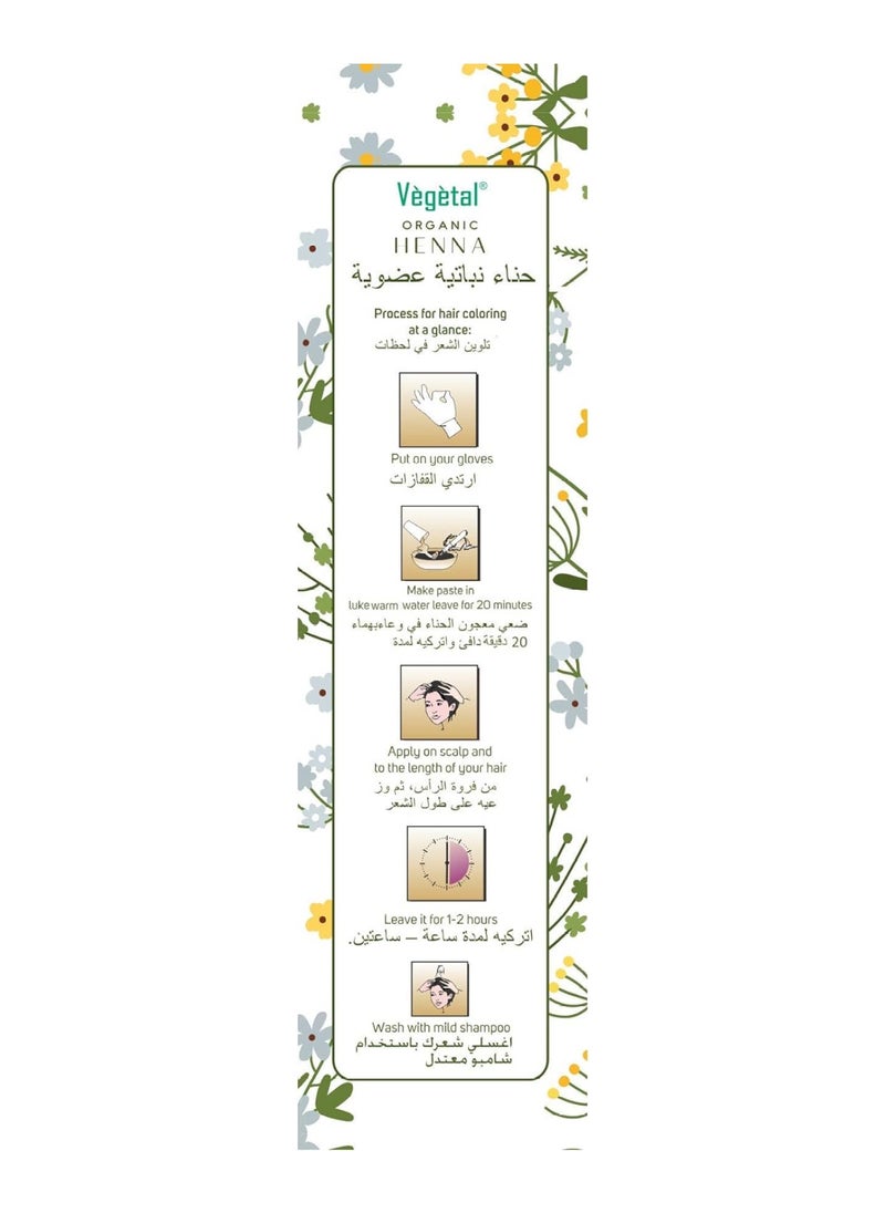 Vegetal - Organic And Herbal Henna Powder, For Natural Hair Coloring, Prevent Early Greying & Protects Hair Damage From Chemical Hair Color - 100G - Image 1
