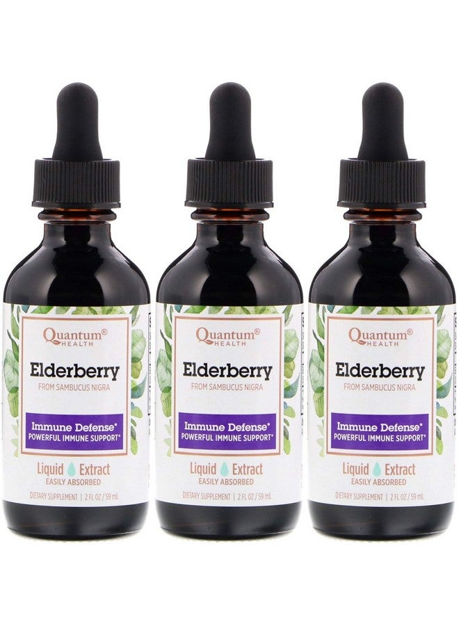 Quantum Elderberry Liquid Extract 2 Ounce 3 Per Case. - Image 2