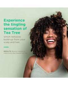 Soapbox Soapbox Tea Tree Shampoo, Sulfate Free, Paraben Free, Silicone Free, Color Safe, and Vegan Hair Shampoo (33.8 Ounces)  - Image 3
