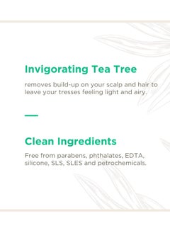 Soapbox Soapbox Tea Tree Shampoo, Sulfate Free, Paraben Free, Silicone Free, Color Safe, and Vegan Hair Shampoo (33.8 Ounces)  - Image 4