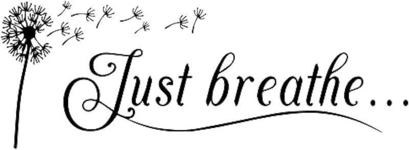 NALACAL Just Breathe Vinyl Wall Decal - Image 1