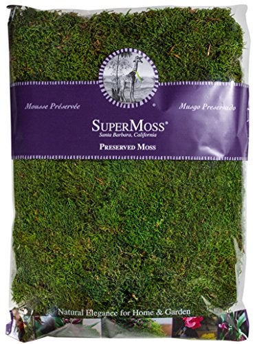 SuperMoss Super Moss 21513 Preserved Sheet Moss, Fresh Green, 16-Ounce - Image 2
