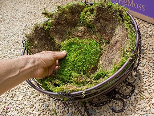 SuperMoss Super Moss 21513 Preserved Sheet Moss, Fresh Green, 16-Ounce - Image 3